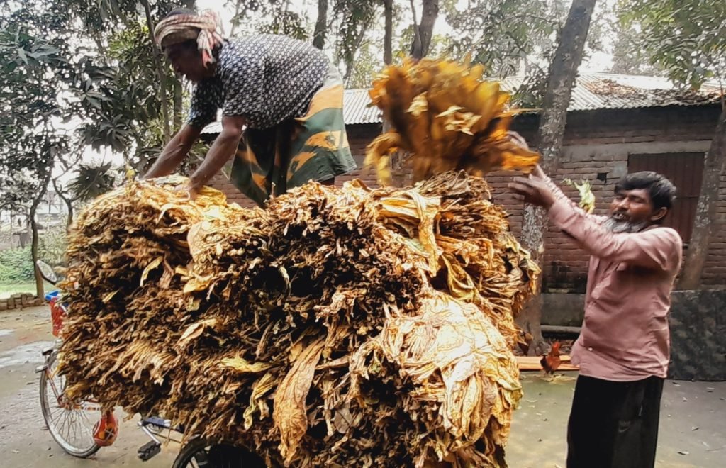 তামাক নিয়ন্ত্রণ আইন তিন বছর পেরিয়ে গেলেও সংশোধনী খসড়া পাস করতে পারেনি সরকার b33fd519 c620 48cf 9d78 c1b844662a92 তামাক নিয়ন্ত্রণ আইন তিন বছর পেরিয়ে গেলেও সংশোধনী খসড়া পাস করতে পারেনি সরকার