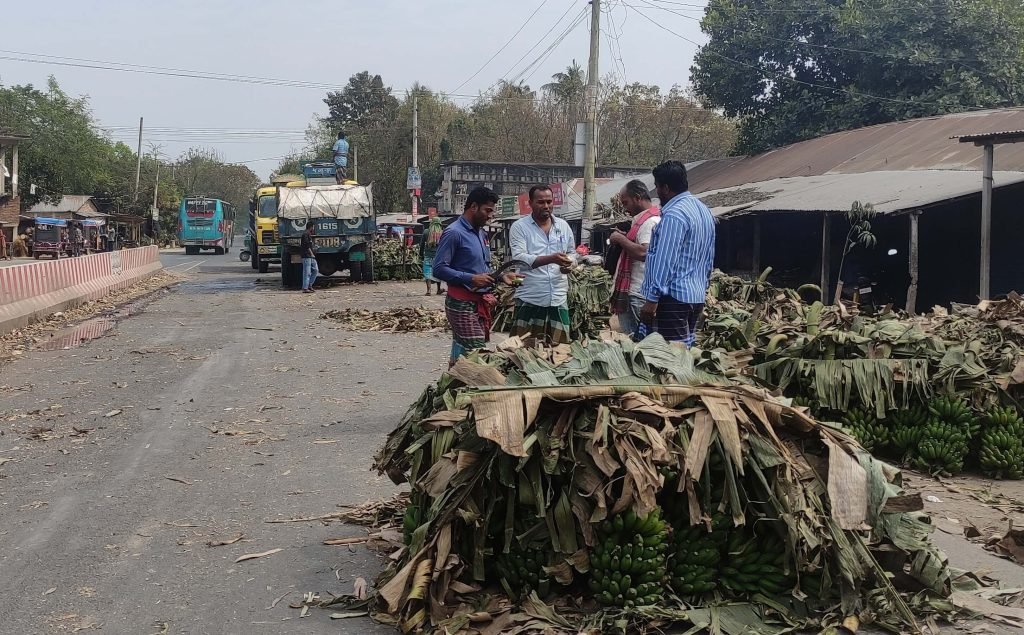 কুষ্টিয়া-ঝিনাইদহ মহাসড়ক দখল করে কলার হাট 2 কুষ্টিয়া-ঝিনাইদহ মহাসড়ক দখল করে কলার হাট 14 5 কুষ্টিয়া-ঝিনাইদহ মহাসড়ক দখল করে কলার হাট