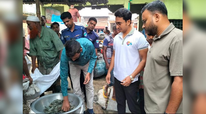 ভেড়ামারায় জাটকা ইলিশ বিক্রির দায়ে জরিমানা