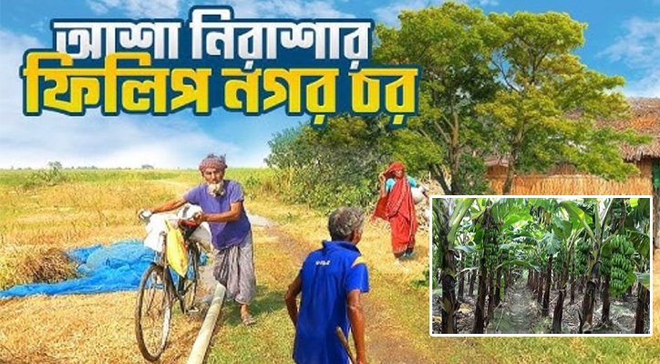 কলা বাগান দখল-চাঁদাবাজি ও ডাকাতির অভিযোগে অতিষ্ঠ চাষীরা