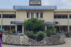 কুষ্টিয়ায় বিদ্যুৎস্পৃষ্ট হয়ে ভ্যানচালকের মৃত্যু