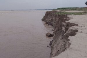 দৌলতপুরে পদ্মার ভাঙনে বিলীন শত শত বিঘা ফসলি জমি