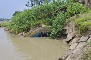 খোকসায় শহর রক্ষা বাঁধে ধস, আতঙ্কিত এলাকাবাসী