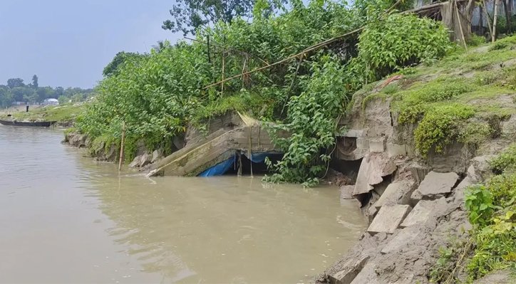 খোকসায় শহর রক্ষা বাঁধে ধস, আতঙ্কিত এলাকাবাসী