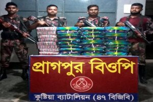 দৌলতপুর সীমান্তে ভারতীয় মাদকদ্রব্য উদ্ধার