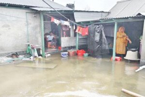 কুমারখালীতে পানিবন্দি অর্ধশতাধিক পরিবার 