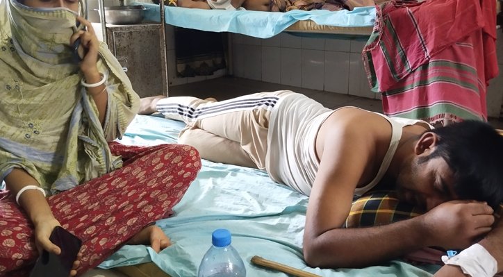 কুমারখালীতে ভিমরুলের কামড়ে ১০ জনের বেশি আহত