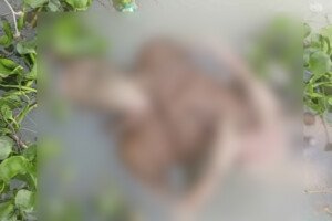 কুষ্টিয়ায় অজ্ঞাত ব্যক্তির মরদেহ উদ্ধার