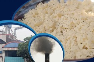 রাইস মিলের দূষণে অতিষ্ঠ জনজীবন