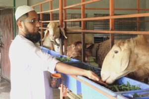 কুষ্টিয়ায় মরুর প্রাণীতে রাকিবুলের লাখ টাকার স্বপ্ন