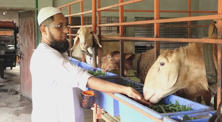 কুষ্টিয়ায় মরুর প্রাণীতে রাকিবুলের লাখ টাকার স্বপ্ন