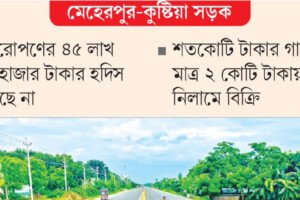 হদিস মিলছে না ৭১ হাজার গাছের