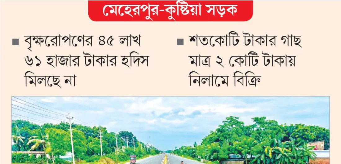 হদিস মিলছে না ৭১ হাজার গাছের