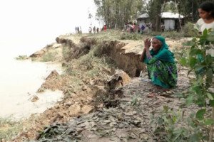পদ্মা নদীতে ভাঙন: হুমকির মুখে নদী রক্ষা বেড়িবাঁধ ও বসতভিটা
