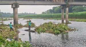 নবগঙ্গা নদীতে কচুরিপানা পরিষ্কার অভিযান