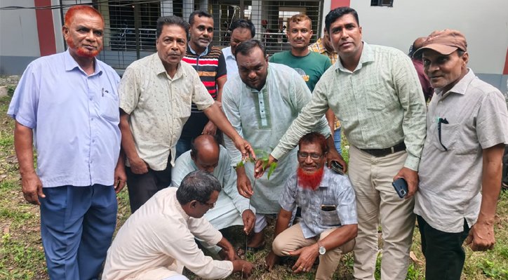 মিরপুরে বিএনপি’র উদ্যোগে বৃক্ষরোপন