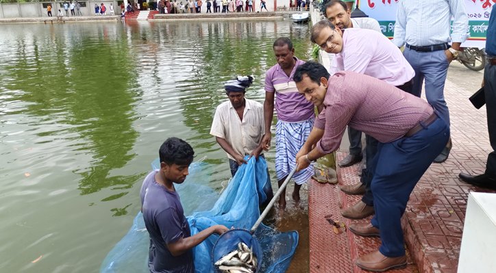 কুমারখালীতে ১৪টি জলাশয়ে মাছের পোনা অবমুক্ত 1 কুমারখালীতে ১৪টি জলাশয়ে মাছের পোনা অবমুক্ত 07 27 কুমারখালীতে ১৪টি জলাশয়ে মাছের পোনা অবমুক্ত