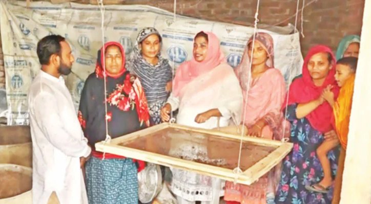 কুষ্টিয়ায় কেঁচো সারে স্বাবলম্বী শত নারী