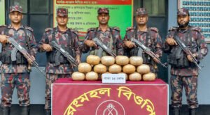 কুষ্টিয়ায় অবৈধ জাল ও গাঁজা জব্দ