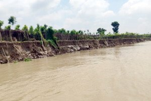 ভেড়ামারায় পদ্মা নদীতে ভাঙন, পাউবোর উদাসীনতায় ক্ষুব্ধ ভুক্তভোগীরা  