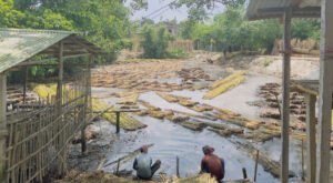 সোনালী আঁশে অন্ধকার: দৌলতপুরে পানির সংকটে জটলা 11 26 সোনালী আঁশে অন্ধকার: দৌলতপুরে পানির সংকটে জটলা