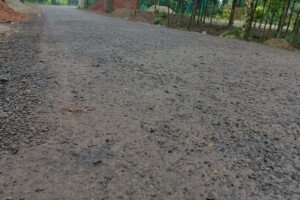 কোটি টাকার সড়কের বিটুমিন-পাথর উঠছে এক মাসেই