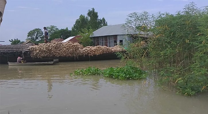 02 15 কুষ্টিয়ায় বন্যা পরিস্থিতির উন্নতি, কমেনি দুর্ভোগ