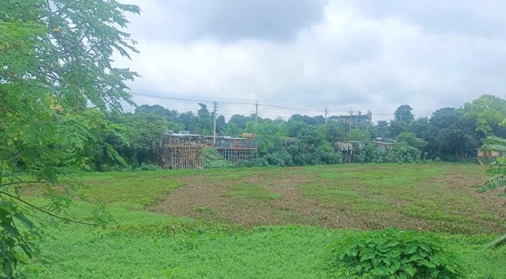 উৎসমুখ বন্ধ, কোটি টাকার দখল বাণিজ্যে মৃতপ্রায় কালীগঙ্গা