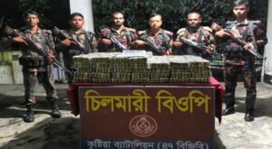 সীমান্তে মালিকবিহীন অবস্থায় ভারতীয় পাতার বিড়ি ও মোবাইল ফোন জব্দ 05 8 সীমান্তে মালিকবিহীন অবস্থায় ভারতীয় পাতার বিড়ি ও মোবাইল ফোন জব্দ