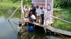 06 16 মিরপুরে দায়সারা গোছের মাছের পোনা অবমুক্তকরণ: প্রশ্ন উঠেছে কার্যকারিতা নিয়ে