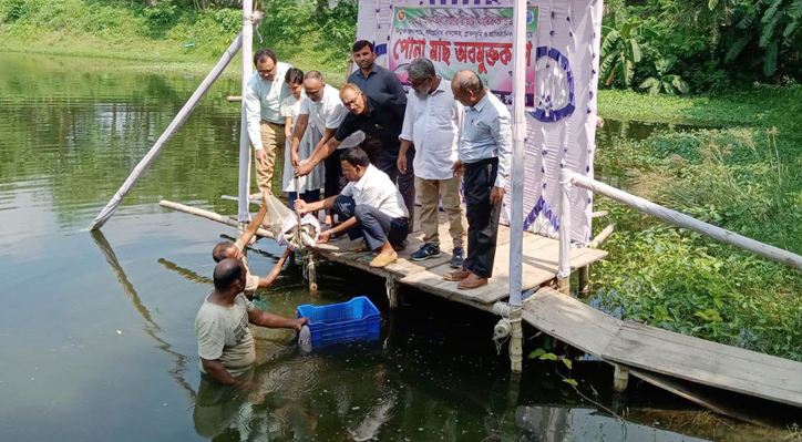 06 16 মিরপুরে দায়সারা গোছের মাছের পোনা অবমুক্তকরণ: প্রশ্ন উঠেছে কার্যকারিতা নিয়ে