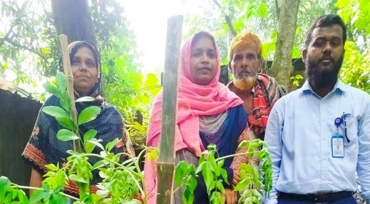 07 12 প্রণোদনার গাছ রক্ষায় বাঁশের ঠেকনা’র ব্যয় নিয়ে প্রশ্ন