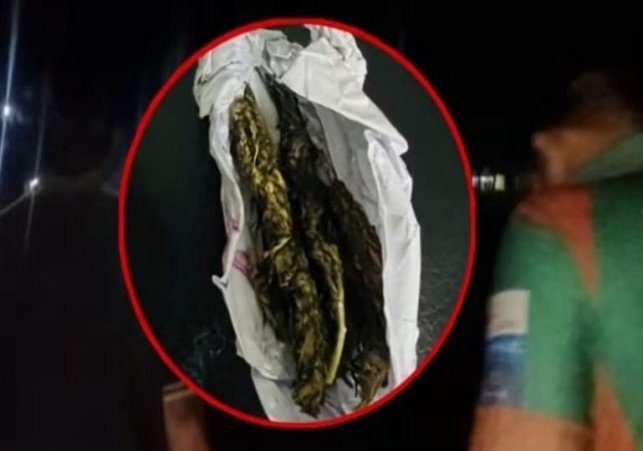 07 15 গাঁজাসহ আটক ইসলামী বিশ্ববিদ্যালয়ের দুই শিক্ষার্থী