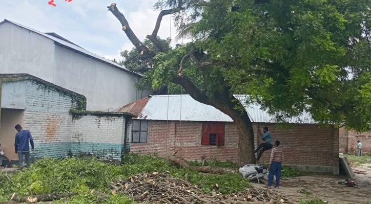 ভেড়ামারায়সরকারি জিম্মায় থাকা গাছও নিরাপদ নয়! 2 ভেড়ামারায়সরকারি জিম্মায় থাকা গাছও নিরাপদ নয়! 08 19 ভেড়ামারায়সরকারি জিম্মায় থাকা গাছও নিরাপদ নয়!