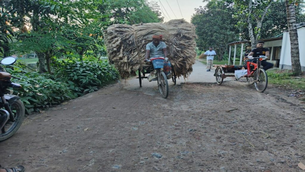 13 14 খোকসায় রাস্তা সংস্কারে বিলম্ব ভোগান্তিতে ৪ ইউনিয়নবাসী