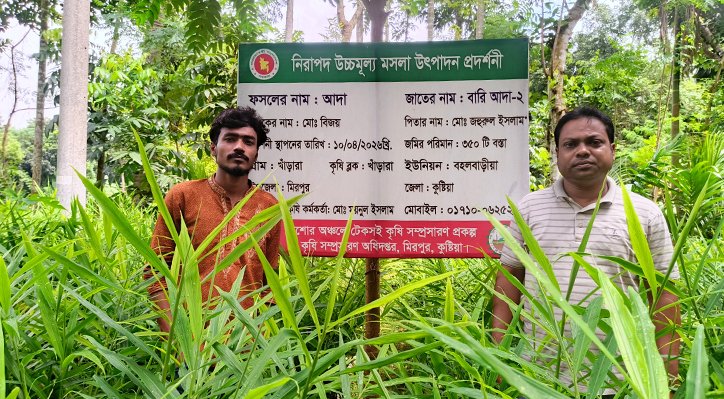 16 19 বস্তায় আদা চাষে বদলে যাচ্ছে কৃষকের ভাবনা