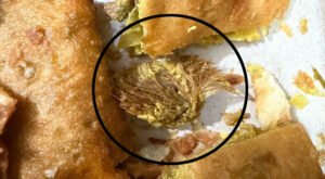 মৌবনের মোগলাইয়ে মিলল ছাগলের চামড়ার লোম 19 7 মৌবনের মোগলাইয়ে মিলল ছাগলের চামড়ার লোম