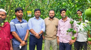 04 4 কৃষিতে নতুন স্বপ্ন বুনছেন মিরপুরের আলামিন