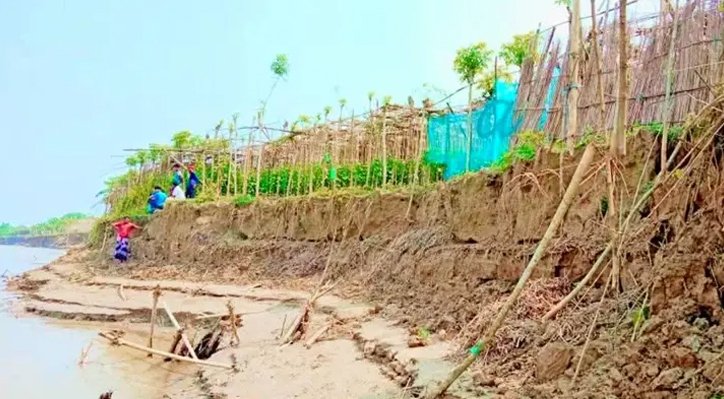 09 21 পদ্মার ভাঙনে দুই মাসে বিলীন ২’শ একর জমি