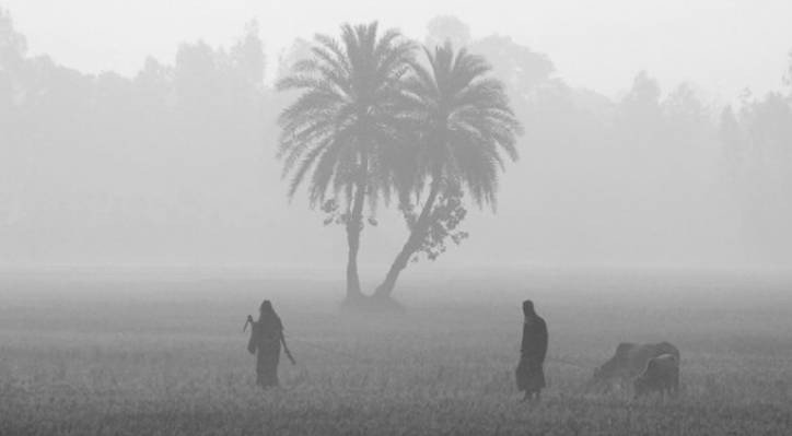 11 19 কুষ্টিয়ায় আগাম শীতকালীন সবজি চাষে ঝুঁকছেন কৃষকরা