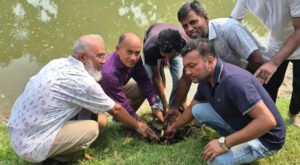 কুমারখালীতে জি কে ক্যানালের পাড়ে তালবীজ রোপণ 12 3 কুমারখালীতে জি কে ক্যানালের পাড়ে তালবীজ রোপণ