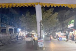 19 আমির হামজার জন্য তোরণ নির্মাণে গাছের ডাল কেটে ন্যাড়া, ক্ষোভ-সমালোচনা