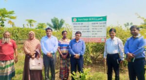 21 3 মিরপুরে কৃষি কার্যক্রম পরিদর্শনে যশোর অঞ্চলের অতিরিক্ত পরিচালক