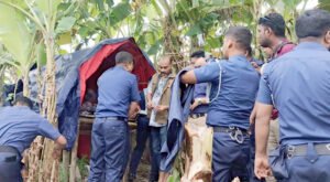কাদিরপুর বিলে যৌথ বাহিনীর অভিযান 21 6 কাদিরপুর বিলে যৌথ বাহিনীর অভিযান